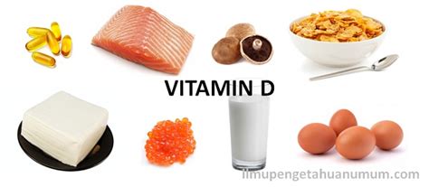 Contoh Makanan Yang Mengandung Vitamin D Dan Kalsium