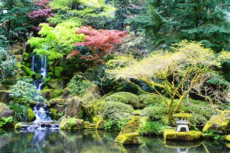 Oregon Exploring Japanese Gardens In The Spring Japanese Garden