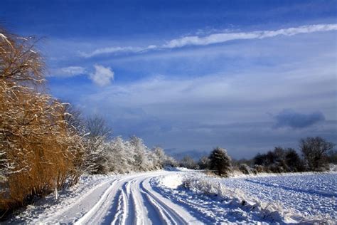 1920x1280 Netherlands Road Trees Sky Clouds Snow Clearly