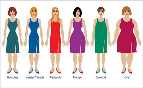 Womens Body Types Chart