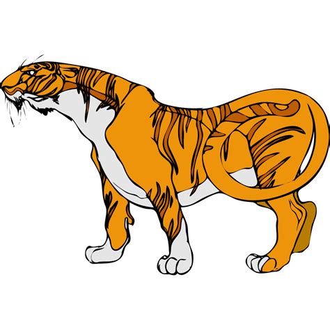 7 видео 4 014 просмотров обновлен 29 июл. Cartoon Tiger PNG, SVG Clip art for Web - Download Clip ...
