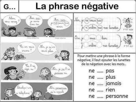 La phrase négative. | Phrase négative, Phrase, La négation