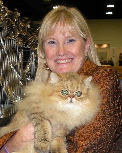 This Is A Specialty Cat Show Which Promotes Our Breed The Silver And