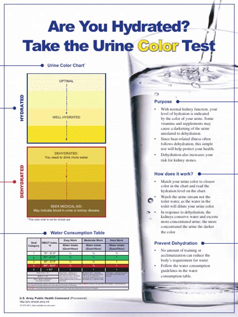 Are You Hydrated Take The Urine Color Test Download Printable Pdf