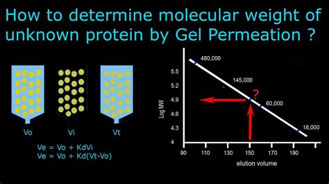 Gel Permeation Chromatography Part 2 Molecular Weight Determination