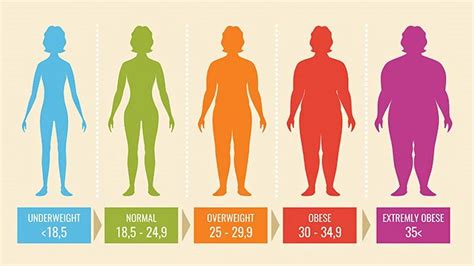 Whats A Healthy Bmi In Adults Heres Everything You Need To Know