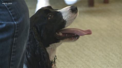 Maybe you would like to learn more about one of these? Local News | Buffalo, New York | wgrz.com