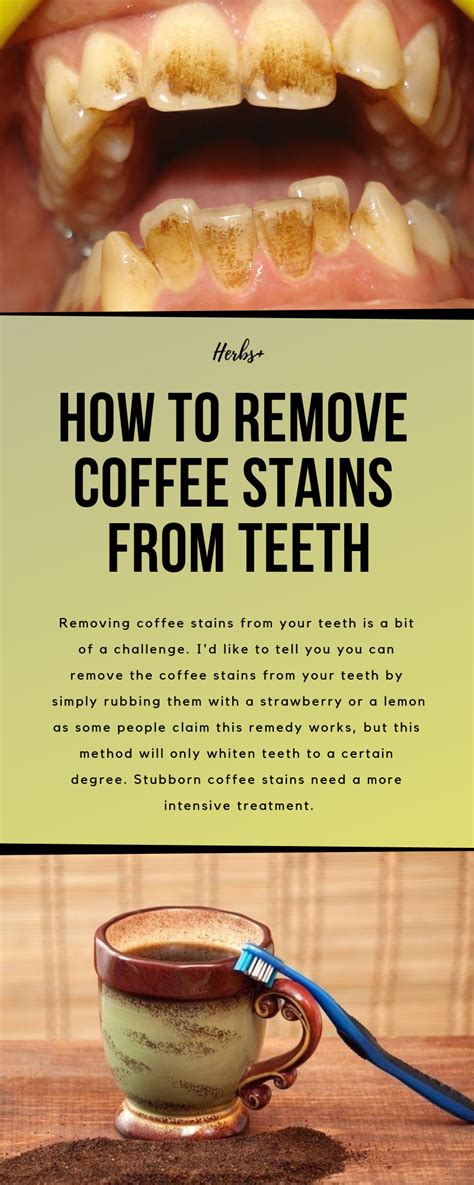 How To Remove Brown Coffee Stains From Teeth How To Do
