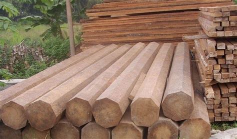 Daftar harga kayu terbaru beragam jenis seperti kayu jati, kaso, papan, balok, meranti & teriplek. Mengenal Sifat Dan Kegunaan Kayu Jati | Kayu, Kayu jati, Hijau
