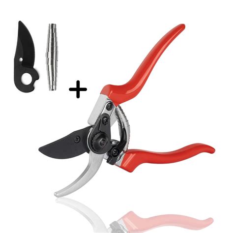 Best Cheap Garden Clippers Home And Home