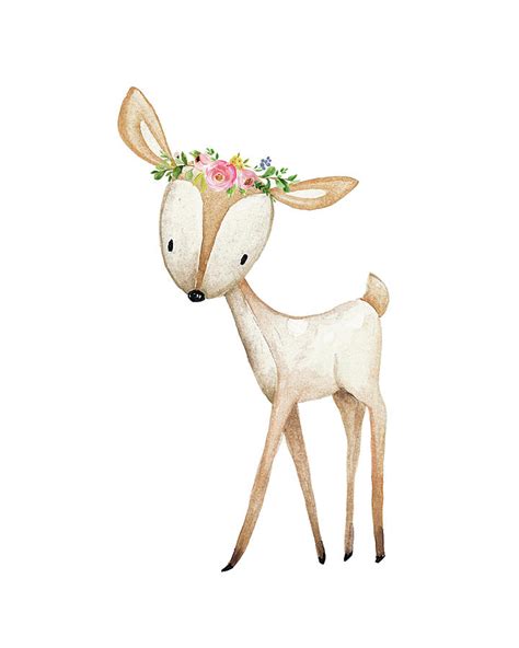 Boho Woodland Deer Watercolor Floral Decor Digital Art By Pink Forest