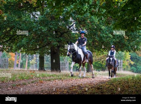 Two Horse Riders On A Horse Trail In Richmond Park Surrey England Uk