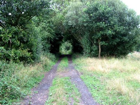Nature Builds A Tunnel © Roger Gilbertson Cc By Sa20 Geograph