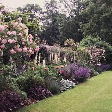 The Garden Is Full Of Flowers And Trees