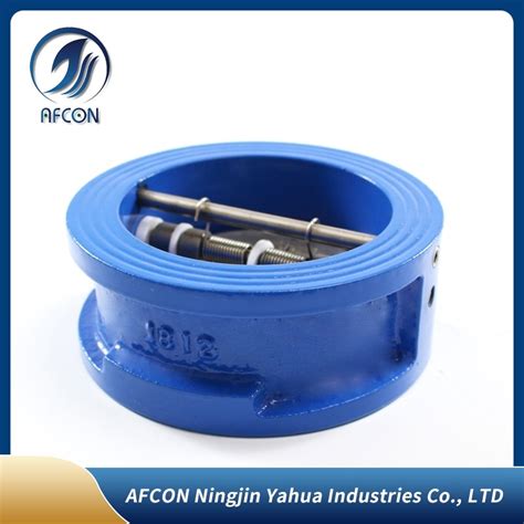 Quality Cast Iron Wafer Type Double Door Check Valve Manufacturer