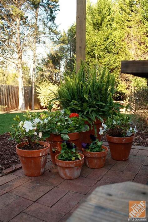 If you're wanting to decorate your outdoor areas, this simple guide will give you inside knowledge on the best potted plants to use when decorating your outdoor living areas. A Classic, Brick Patio Makeover by Bryn of Bryn Alexandra ...