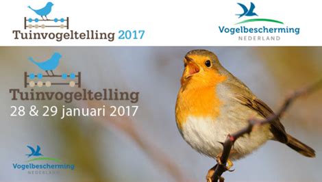 De nationale tuinvogeltelling is het grootste natuuronderzoek van nederland. Naar Buiten! Leidschendam-Voorburg - Blog