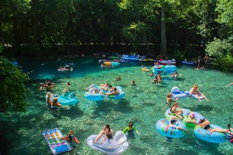 25 Beautiful Florida Springs Within Driving Distance Of Tampa Bay
