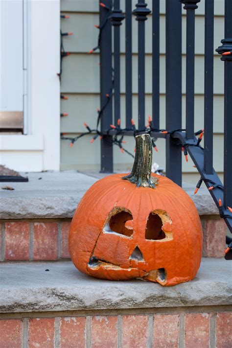 How To Keep Pumpkins From Rotting And Ruining Everything You Love About