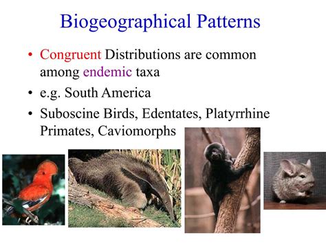 Ppt Lecture 16 Biogeography Powerpoint Presentation Free Download