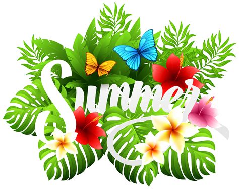 Summer Clipart Png Free Cliparts Download Images On Clipground