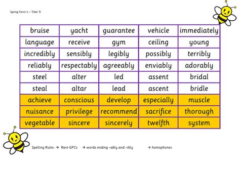 Year 5 Spelling Bee Mats Teaching Resources