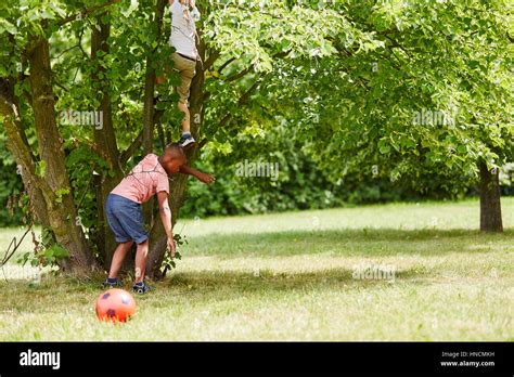 African Boy Climbing Tree Hi Res Stock Photography And Images Alamy