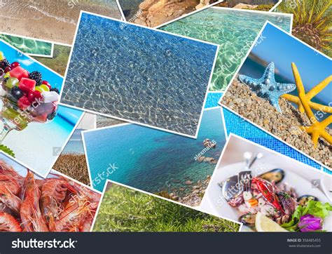 4 584 Sea Life Collage Images Stock Photos And Vectors Shutterstock