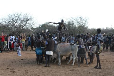 La Cerimonia Del Salto Dei Tori Del Popolo Hamer Exploring Africa