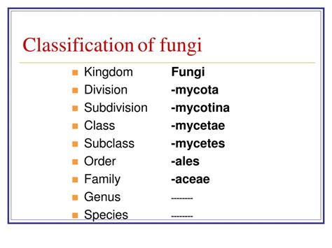 Ppt Taxonomy Biology And Physiology Of Fungi Powerpoint Presentation