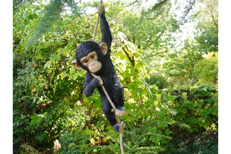Hanging Garden Monkey The Loft