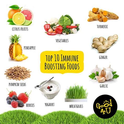 Boost Your Immune System With These Amazing Foods Wrytin
