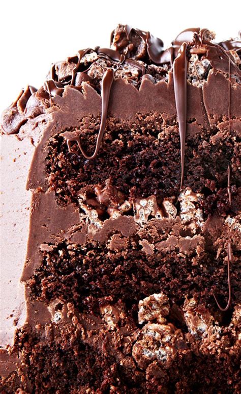 Decadent Chocolate Layer Crunch Cake Recipe Bitememore Decadent Chocolate Decadent Desserts
