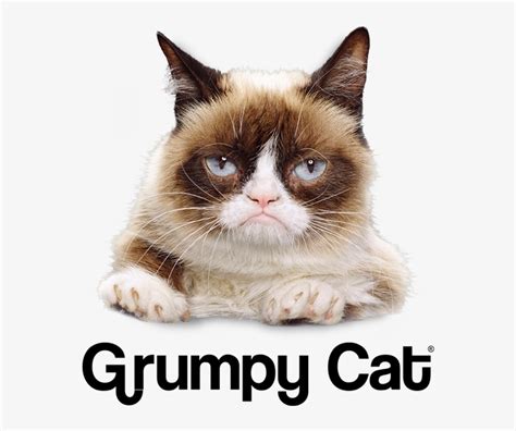 Download 729 Grumpy Cat Supporting Grumpy Cat Smile Transparent Png