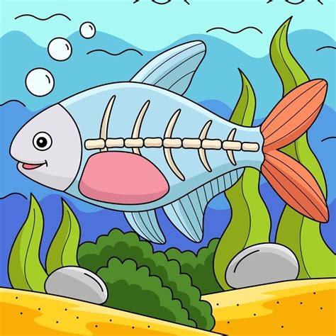 X Ray Fish Animal Colored Cartoon Illustration 10993722 Vector Art At