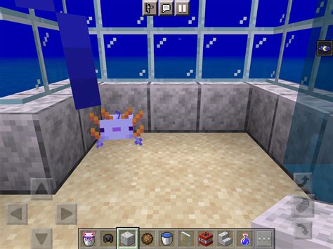 How To Get A Blue Axolotl Bedrock Edition Rminecraft