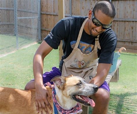 Explore Plano This Week By Visiting The Plano Animal Shelter Local