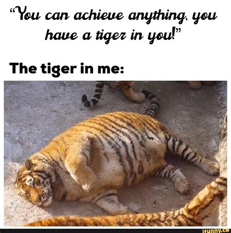 Tiger Jokes Cartoon Peepsburghcom