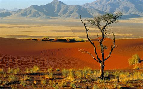 Namibia Wallpapers Wallpaper Cave