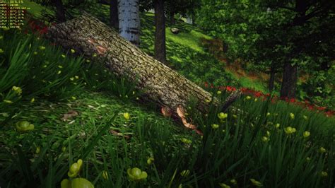 Oblivion Forest At Oblivion Nexus Mods And Community