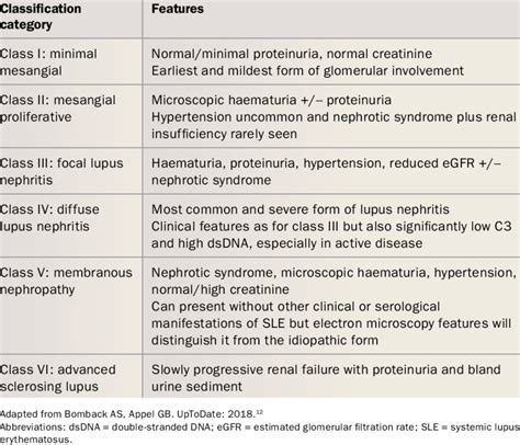 Isn Rps Classification Of Lupus Nephritis