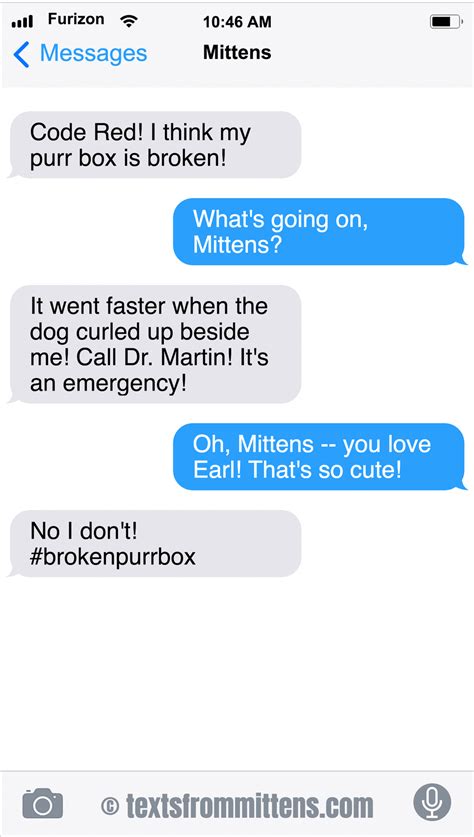 texts from mittens by angie bailey for may 15 2018 text from mittens cat text