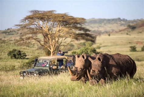 4 Days Masai Mara Luxury Safari Kenya Safari Tours