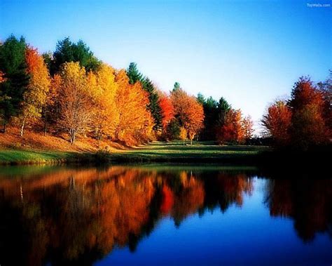 Pictures Of Autumn Scenes Bing Images Nature 3d Image Nature Nature