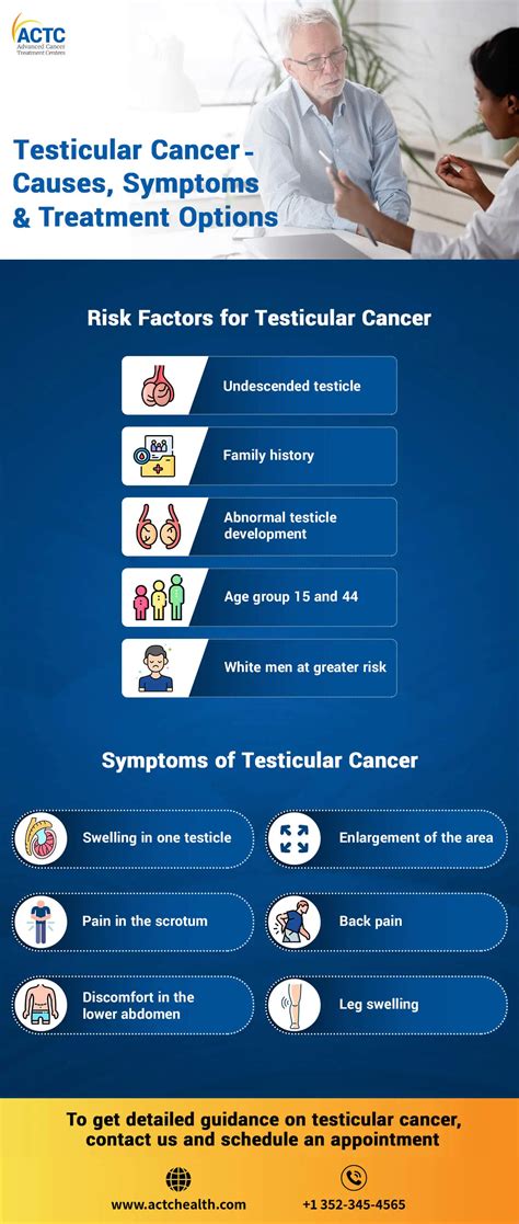 Testicular Cancer Causes Symptoms And Treatment Options