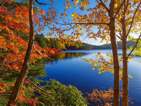 Autumn Trees And Lake Wallpaper Nature And Landscape Wallpaper Better