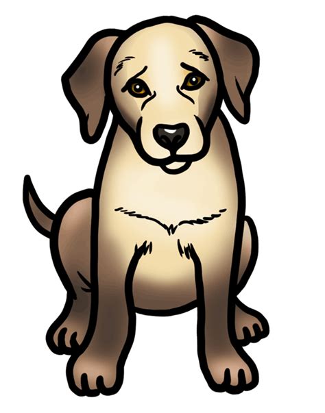 How To Draw A Golden Retriever Puppy Step By Step For Kids
