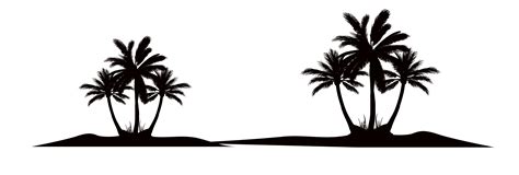 Free photo: Silhouette of Coconut Tree - Backlit, Silhouette, Trees ...