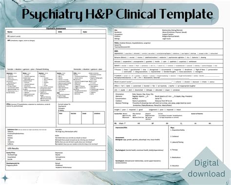 Psychiatry H P Clinical Template For Medical Babes And Healthcare Workers DIGITAL Download