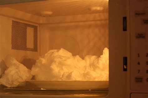 Put The Ivory Soap In The Microwave For One Minute Ivory Soap